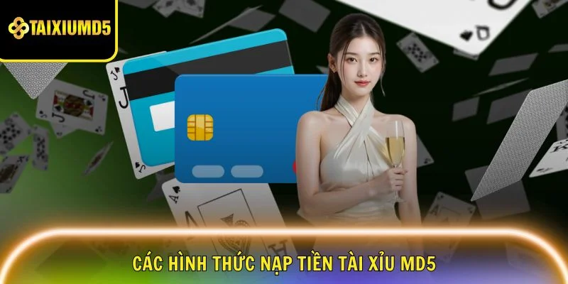 nap-tien-tai-xiu-md5-cac-hinh-thuc
